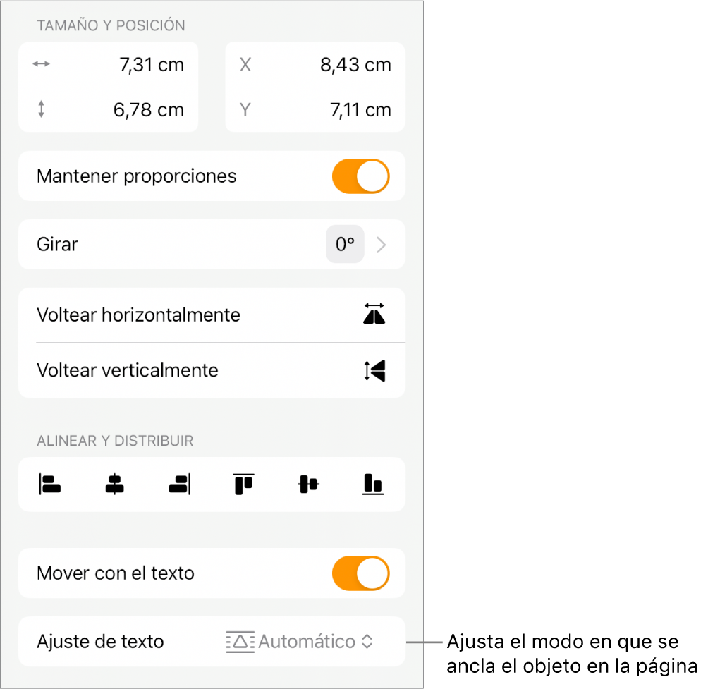 Los controles de formato con la pestaña Disposición seleccionada y controles para “Mover a capa inferior/superior”, “Mover con el texto” y “Ajuste de texto”.