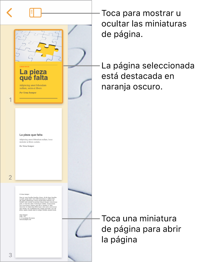 Visualización de miniaturas de página en el lado izquierdo de la pantalla con una página seleccionada. El botón “Opciones de visualización” está encima de las miniaturas.
