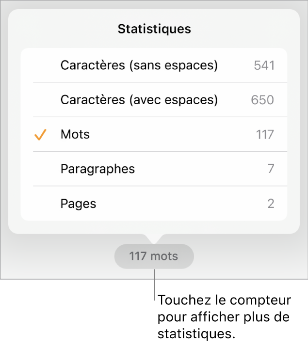 Nombre de mots avec menu présentant des options d’affichage du nombre de caractères avec et sans espaces, du nombre de mots, du nombre de paragraphes et du nombre de pages.