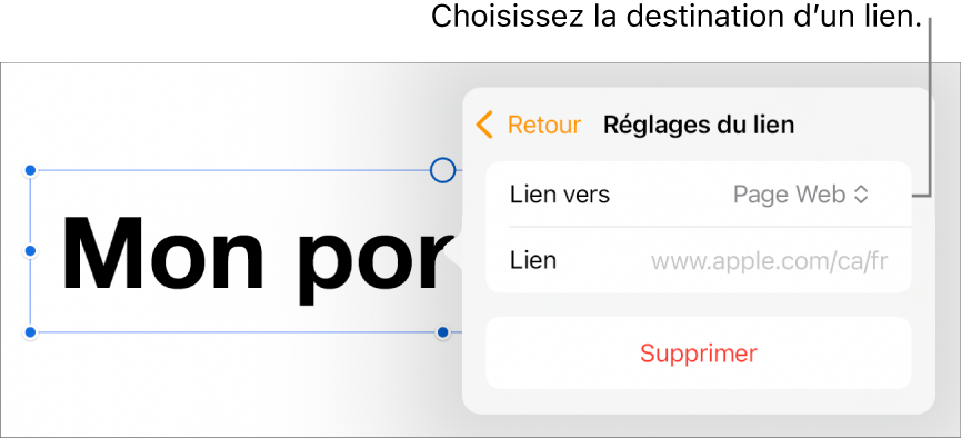 Les commandes Réglages du lien avec l’option Page Web sélectionnée au-dessus du bouton Supprimer.