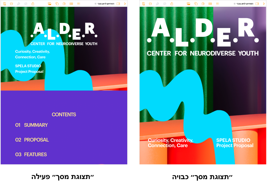 שתי תצוגות של אותו מסמך Pages, אחת שבה המאפיין ״תצוגת מסך״ מופעל ואחת שבה המאפיין ״תצוגת מסך״ מושבת. בגירסת התצוגה של ״תצוגת מסך״, גודל המלל מותאם למסך, ומעברי העמודים והכותרות העליונות מוסתרים בו.