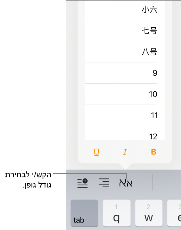 הכפתור ״גודל גופן״ מימין למקלדת ה‑iPad עם התפריט ״גודל גופן״ פתוח. גדלי הגופן התקניים על פי ממשלת סין מיינלנד יופיעו בראש התפריט. מתחת להם יוצגו הגדלים בנקודות.