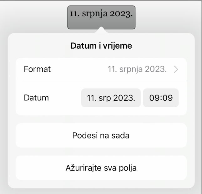 Kontrole za Datum i vrijeme koje prikazuju skočni izbornik za format i tipke Podesi na sada i Ažuriraj sva polja.