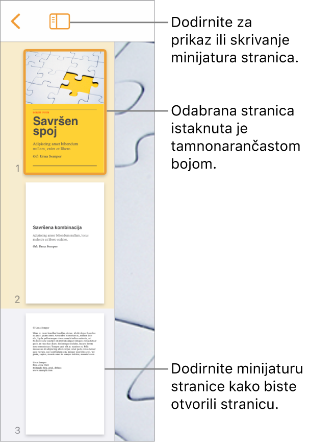 Prikaz minijatura stranica s lijeve strane zaslona s jednom odabranom stranicom. Tipka Opcije prikaza nalazi se iznad minijatura.