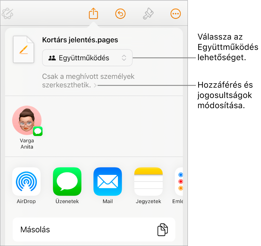 A Megosztás menü a felül kijelölt Együttműködés lehetőséggel, és az alatt látható hozzáférési és jogosultsági beállításokkal.