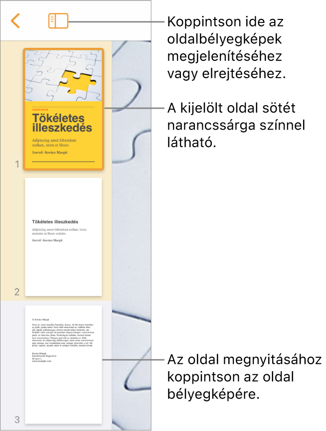 Az Oldalbélyegképek nézete a képernyő bal oldalán, egy kijelölt oldallal. A Nézetbeállítások gomb a bélyegképek felett található.