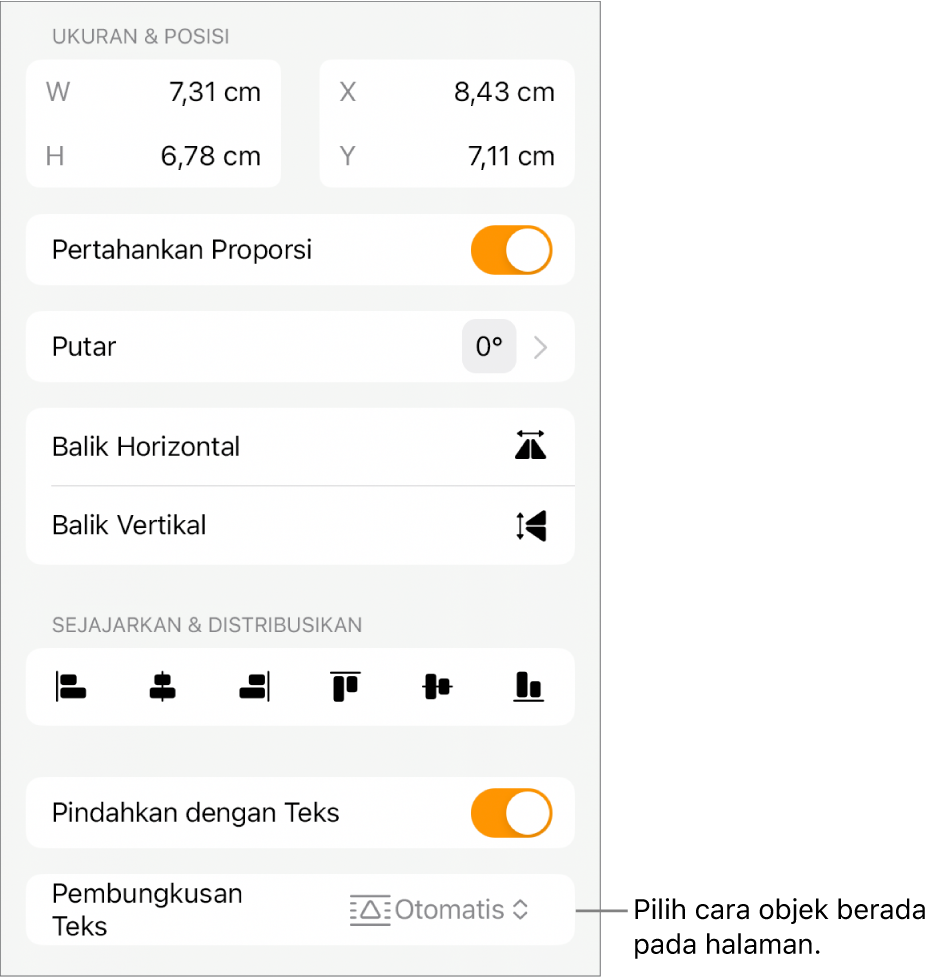 Kontrol Format dengan tab Susun dipilih dan kontrol untuk Pindahkan ke Belakang/Depan, Pindahkan dengan Teks, dan Pembungkusan Teks.