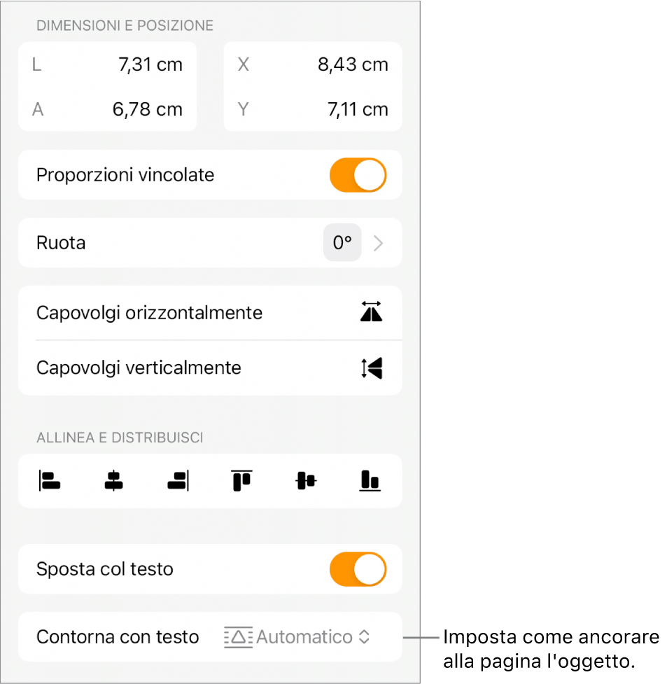I controlli di Formattazione con selezionato il pannello Disposizione e i controlli per Sposta indietro/avanti”, “Sposta col testo” e “Disposizione testo”.