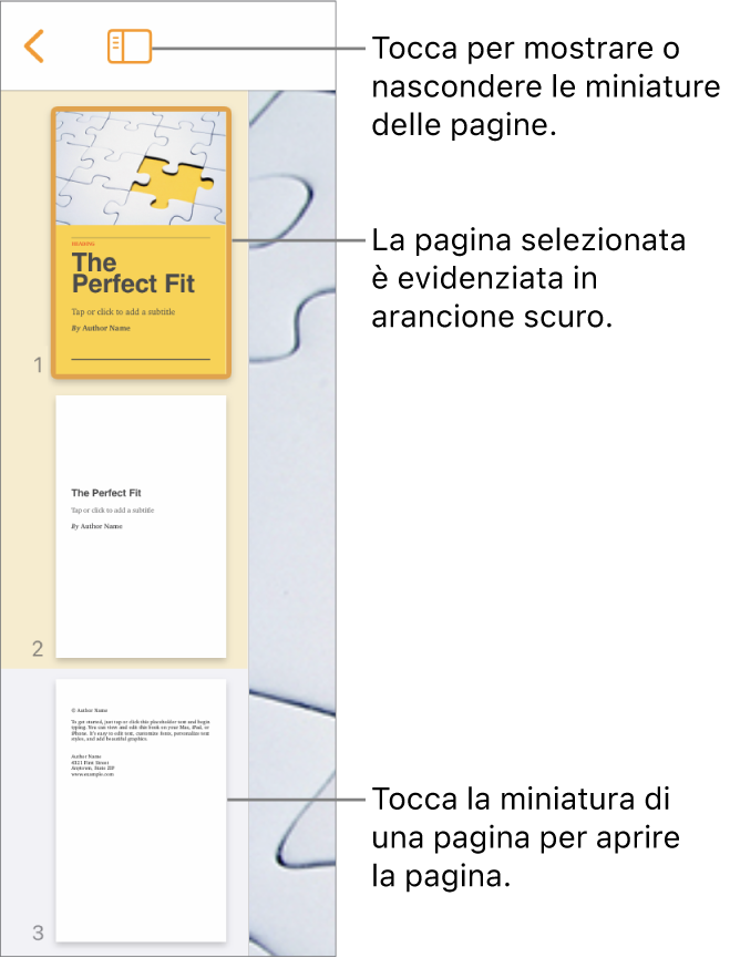 Vista “Miniature pagina” sulla sinistra dello schermo con una sezione di due pagine, una linea separatrice, quindi una pagina della sezione successiva. Pulsante di visualizzazione che si trova sopra le miniature.