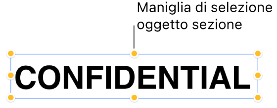 Oggetto con maniglie di selezione.