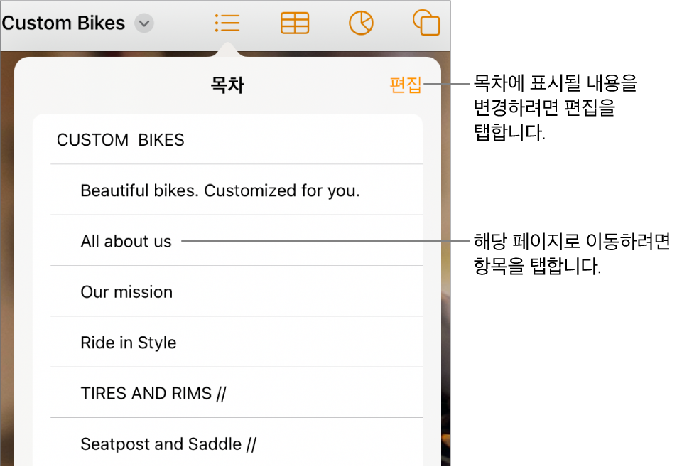 목록에 항목이 있는 목차 보기. 편집 버튼은 보기 오른쪽 상단 모서리에 있습니다.