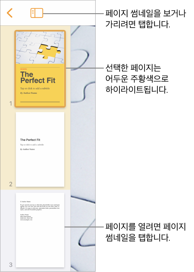 하나의 페이지가 선택된 화면 왼쪽 측면에 있는 페이지 썸네일 보기. 썸네일 위에 있는 보기 옵션 버튼.