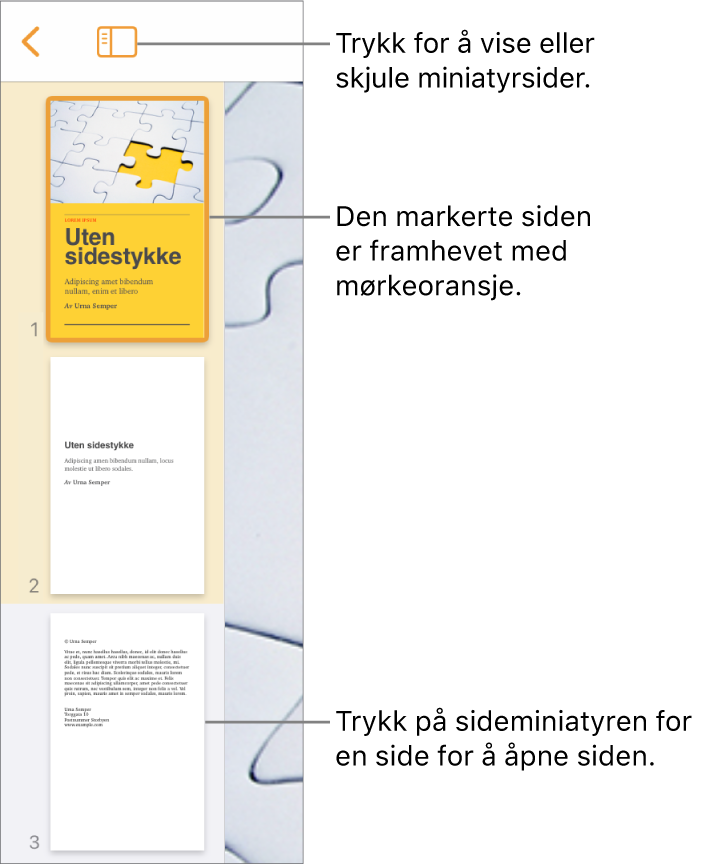 Sideminiatyrvisning på venstre side av skjermen med én side markert. Visningsvalg-knappen er over miniatyrene.