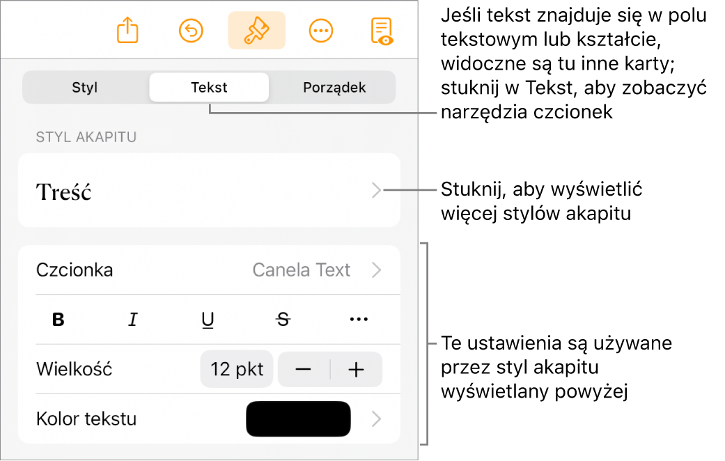Menu Format z narzędziami tekstu pozwalającymi na ustawianie stylów akapitu, stylów znaków, czcionki, wielkości oraz koloru.