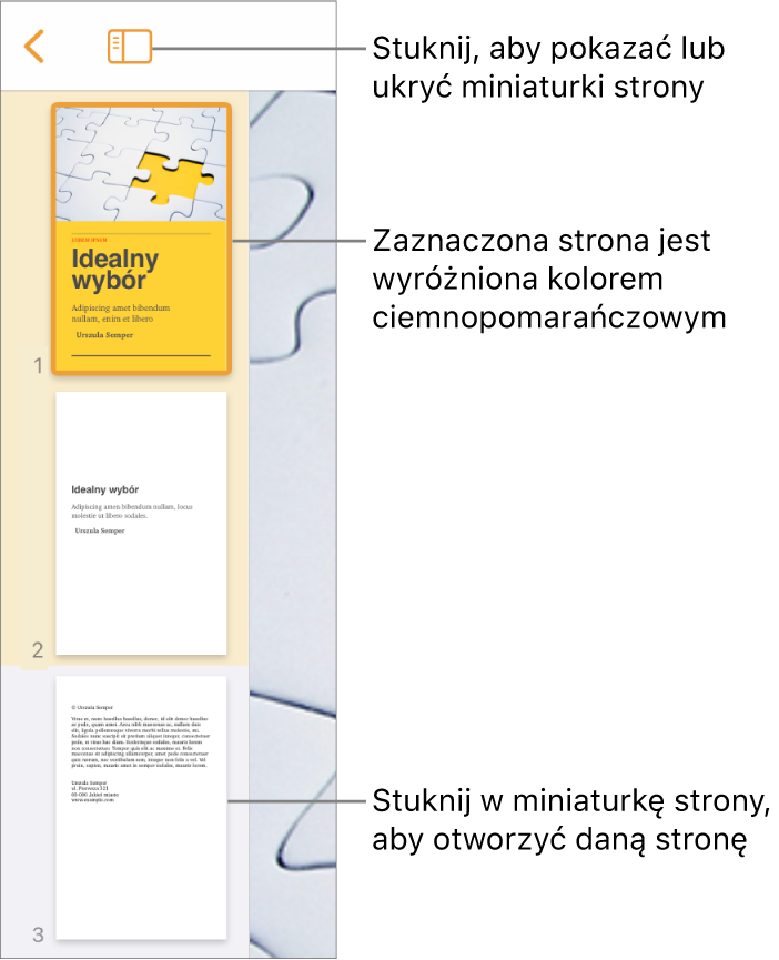 Widok miniaturek stron po lewej stronie ekranu. Zaznaczona jest jedna strona. Nad miniaturkami widoczny jest przycisk Opcje widoku.