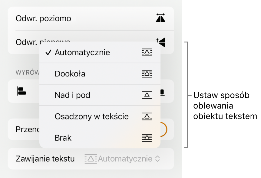 Narzędzia formatowania z zaznaczoną kartą Uporządkuj. Poniżej widoczne są narzędzia oblewania tekstem: Przenieś na wierzch/spód, Przenoś z tekstem oraz Oblewanie tekstem.