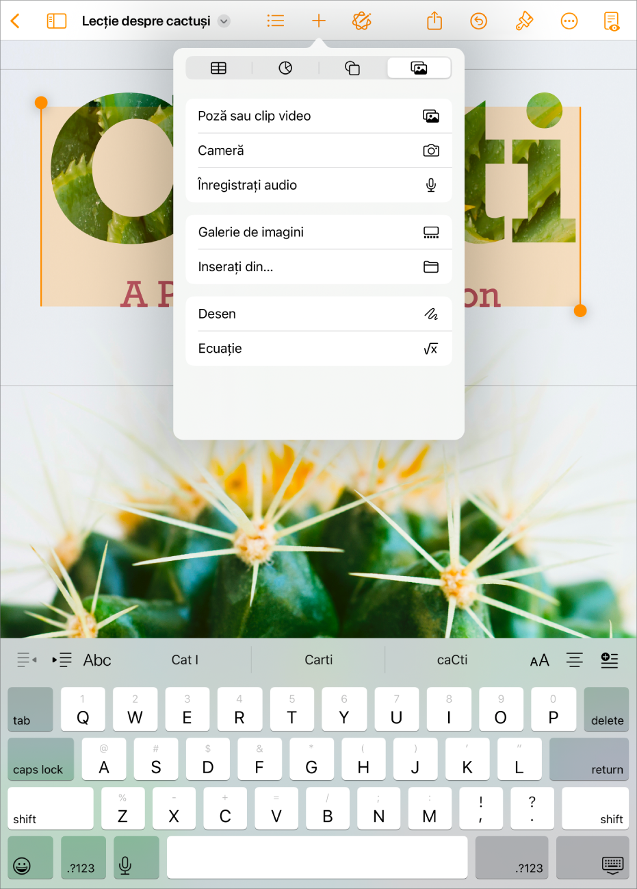 Document Pages deschis cu meniul Inserare afișat și cu meniul Multimedia deschis.