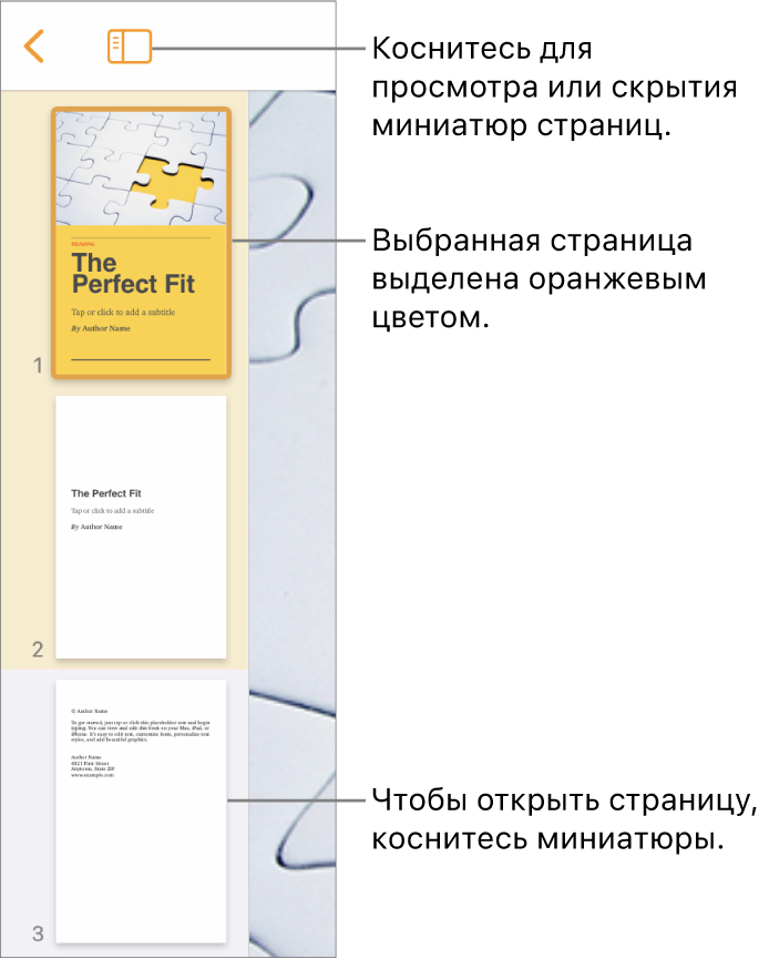 Панель «Миниатюры страниц» в левой части экрана. Выбрана одна страница. Кнопка «Параметры вида» расположена над боковой панелью миниатюр.