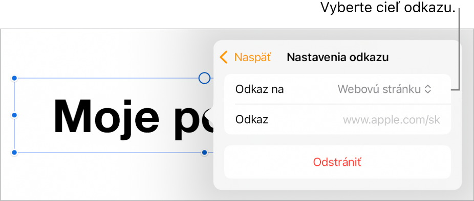Ovládacie prvky nastavení odkazov s vybranou položkou Webová stránka a tlačidlom Odstrániť v dolnej časti.