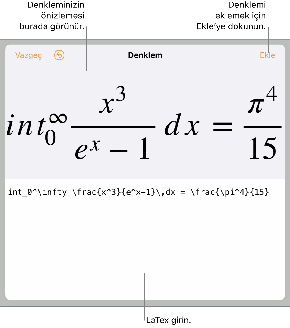 LaTeX komutları kullanılarak yazılmış bir denklemi ve onun üstünde formülün önizlemesini gösteren Denklem sorgu kutusu.