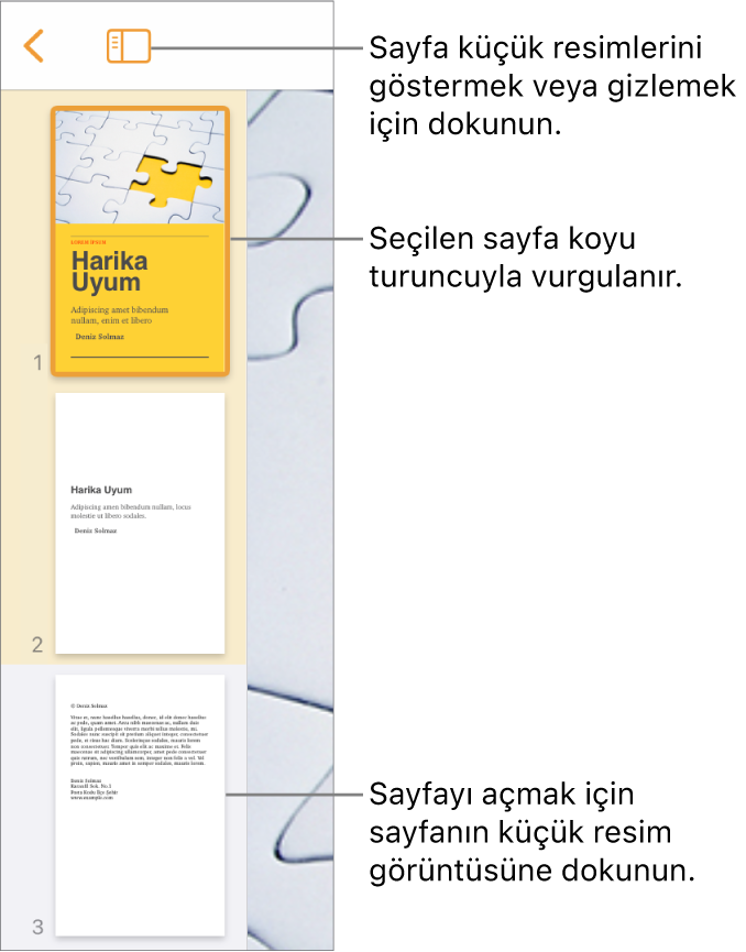 Ekranın sol tarafında bir sayfa seçili şekilde Sayfa Küçük Resimleri görüntüsü. Görüntü Seçenekleri düğmesi, küçük resimlerin üst tarafındadır.