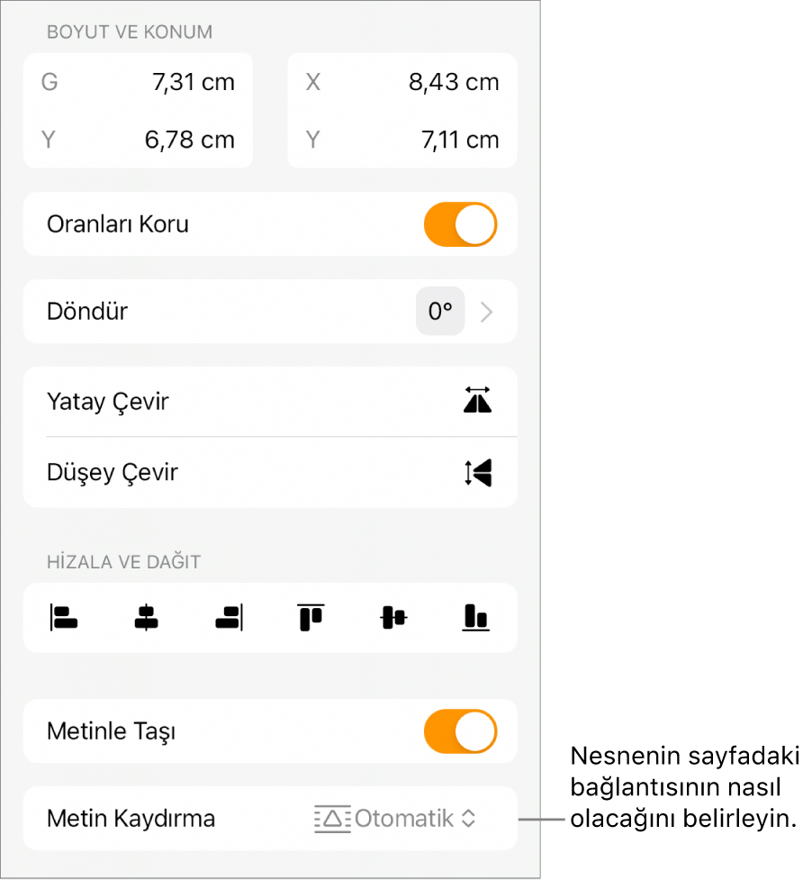 Yerleştir sekmesi seçili ve En Arkaya/Öne Taşı, Metinle Taşı ve Metin Kaydırma denetimleri ile Biçim denetimleri.