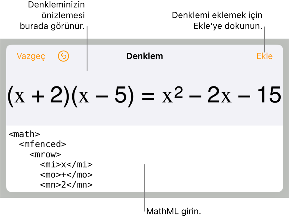 MathML komutları kullanılarak yazılmış bir denklemi ve onun üstünde formülün önizlemesini gösteren Denklem sorgu kutusu.