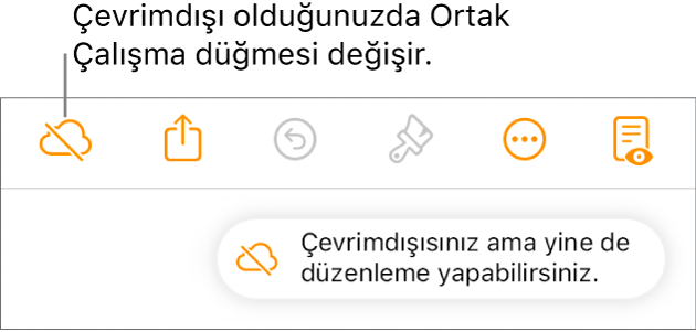 Ekrandaki bir uyarı “Çevrimdışısınız ama yine de düzenleyebilirsiniz” der.