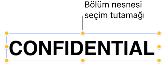 Seçim tutamaklarına sahip nesne.