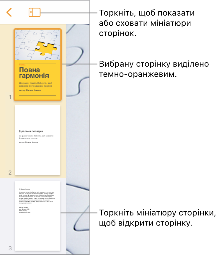 Перегляд мініатюр сторінок зліва на екрані, вибрано одну сторінку. Кнопка «Опції перегляду» над мініатюрами.