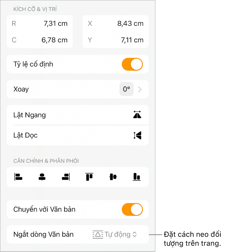 Các điều khiển Định dạng với tab Sắp xếp được chọn và các điều khiển cho Chuyển ra trước/sau, Chuyển với văn bản và Ngắt dòng văn bản.