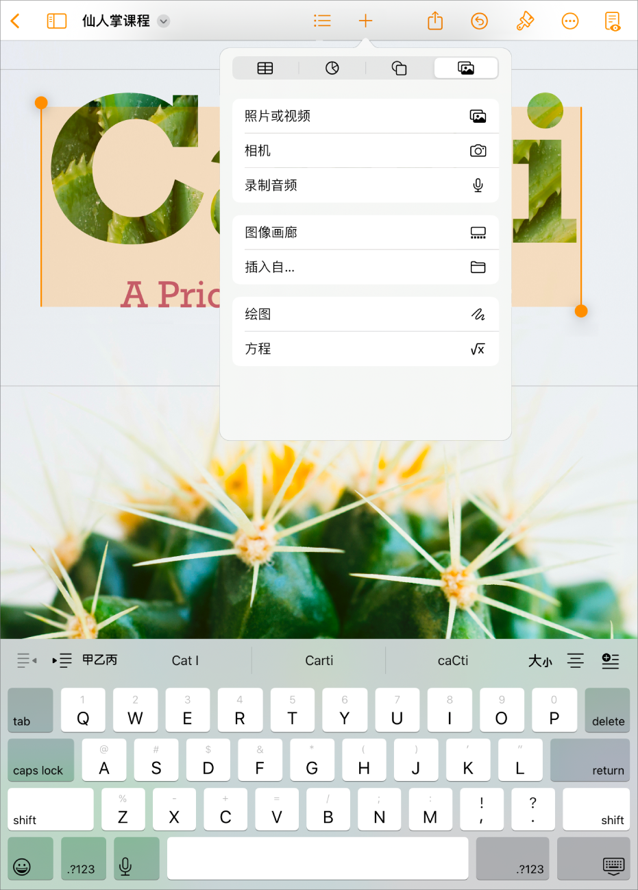Pages 文稿已打开，显示“插入”菜单且媒体菜单已打开。