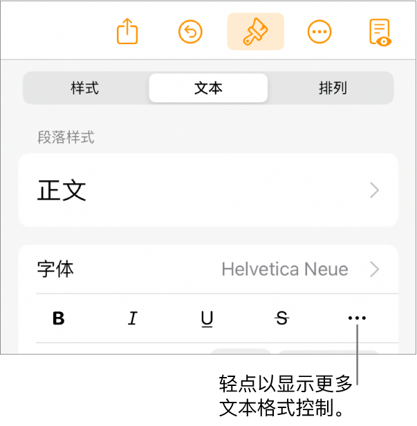 “格式”控制的“文本”标签，其中标注框指向“更多文本选项”按钮。