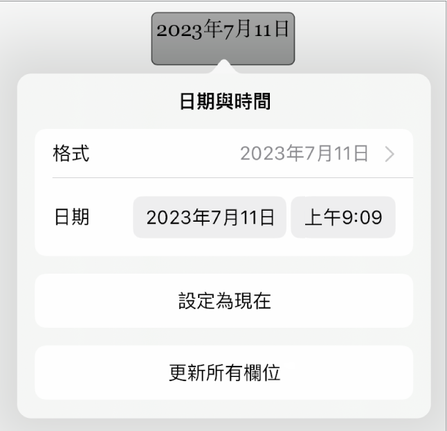 「日期與時間」控制項目，顯示日期「格式」的彈出式選單，以及「設為現在」和「更新所有欄位」。