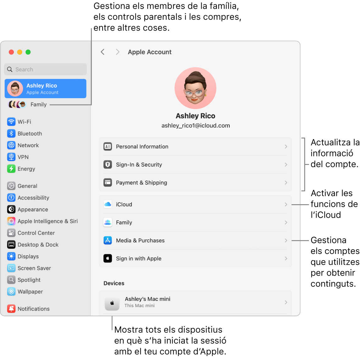 A la configuració del sistema, es veu la secció del compte d’Apple, amb opcions per actualitzar la informació del compte, activar o desactivar les funcions de l’iCloud o gestionar els comptes de contingut multimèdia, i la secció “En família”, amb opcions per configurar un grup familiar, establir controls parentals i administrar les compres, entre altres coses.