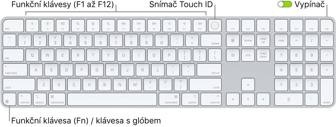 Klávesnice Magic Keyboard s Touch ID a numerickou klávesnicí, na které je vidět řada funkčních kláves a snímač Touch ID u horního okraje a funkční klávesa Fn / klávesa s glóbem napravo od klávesy Delete