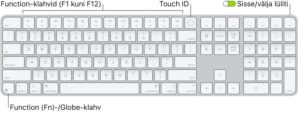 Touch ID-ga ja numbriklahvistikuga Magic Keyboard, mille ülaosas on funktsiooniklahvide rida ja Touch ID ning klahvist Delete paremal klahv Function (Fn)/Globe.