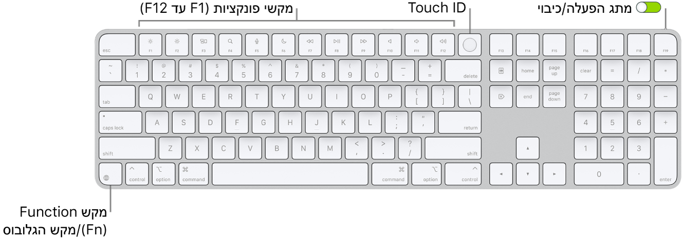 ה-Magic Keyboard עם ה-Touch ID ו״משטח ספרות״ מציגים את שורת מקשי הפונקציה וה-Touch ID לאורך החלק העליון, ואת מקש הפונקציה (Fn)/גלובוס מימין למקש Delete.