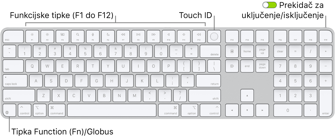 Magic Keyboard s Touch ID-jem i numeričkom tipkovnicom na kojem se vidi red funkcijskih tipki i Touch ID na vrhu i tipka Funkcija (Fn)/Globus s desne strane tipke Delete.