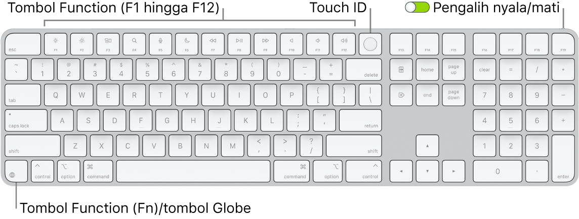 Magic Keyboard dengan Touch ID dan Keypad Numerik menampilkan baris tombol function dengan Touch ID di sepanjang bagian atas dan tombol Function (Fn)/Globe di sebelah kanan tombol Delete.