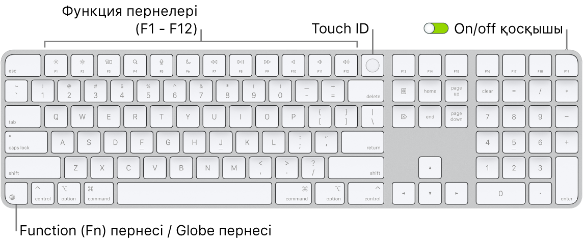 Функциялық пернелер жолын және жоғарғы жақтағы Touch ID тақтасын және Delete пернесінің оң жағындағы Function (Fn)/Globe пернесін көрсетіп тұрған Touch ID құралы және Numeric Keypad тақтасы бар Magic Keyboard пернетақтасы.