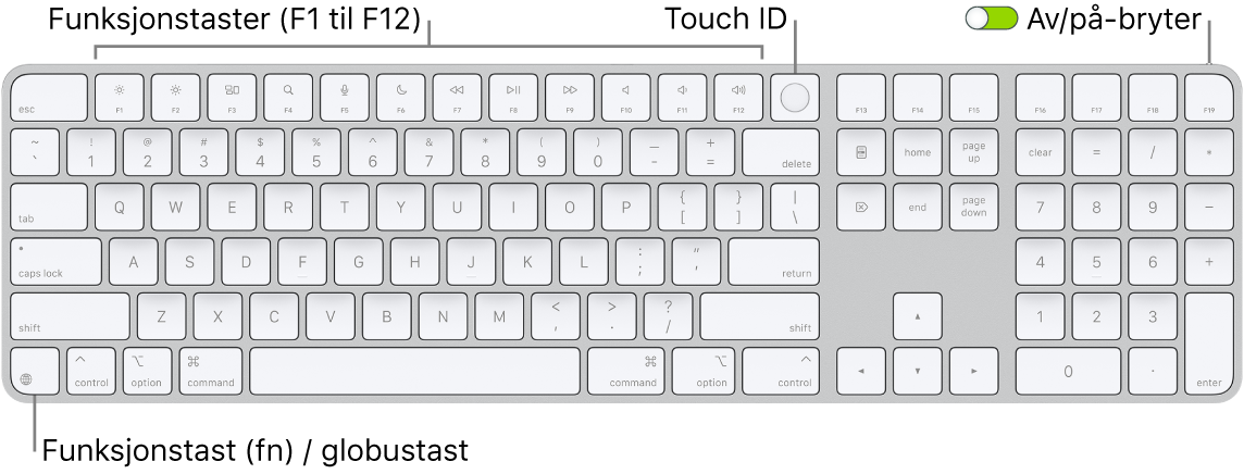 Magic Keyboard med Touch ID og talltastatur som viser raden med funksjonstaster og Touch ID øverst og funksjonstasten (Fn) / globustasten til høyre for slettetasten.