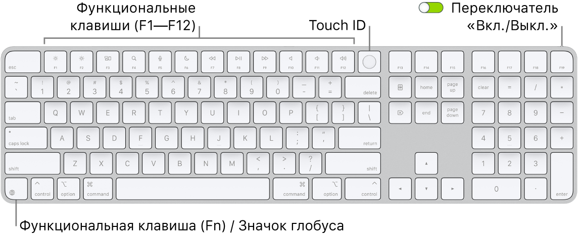Клавиатура Magic Keyboard с сенсором Touch ID и цифровой клавишной панелью. Показаны функциональные клавиши, сенсор Touch ID вверху и клавиша Function (Fn) / глобуса справа от клавиши Delete.