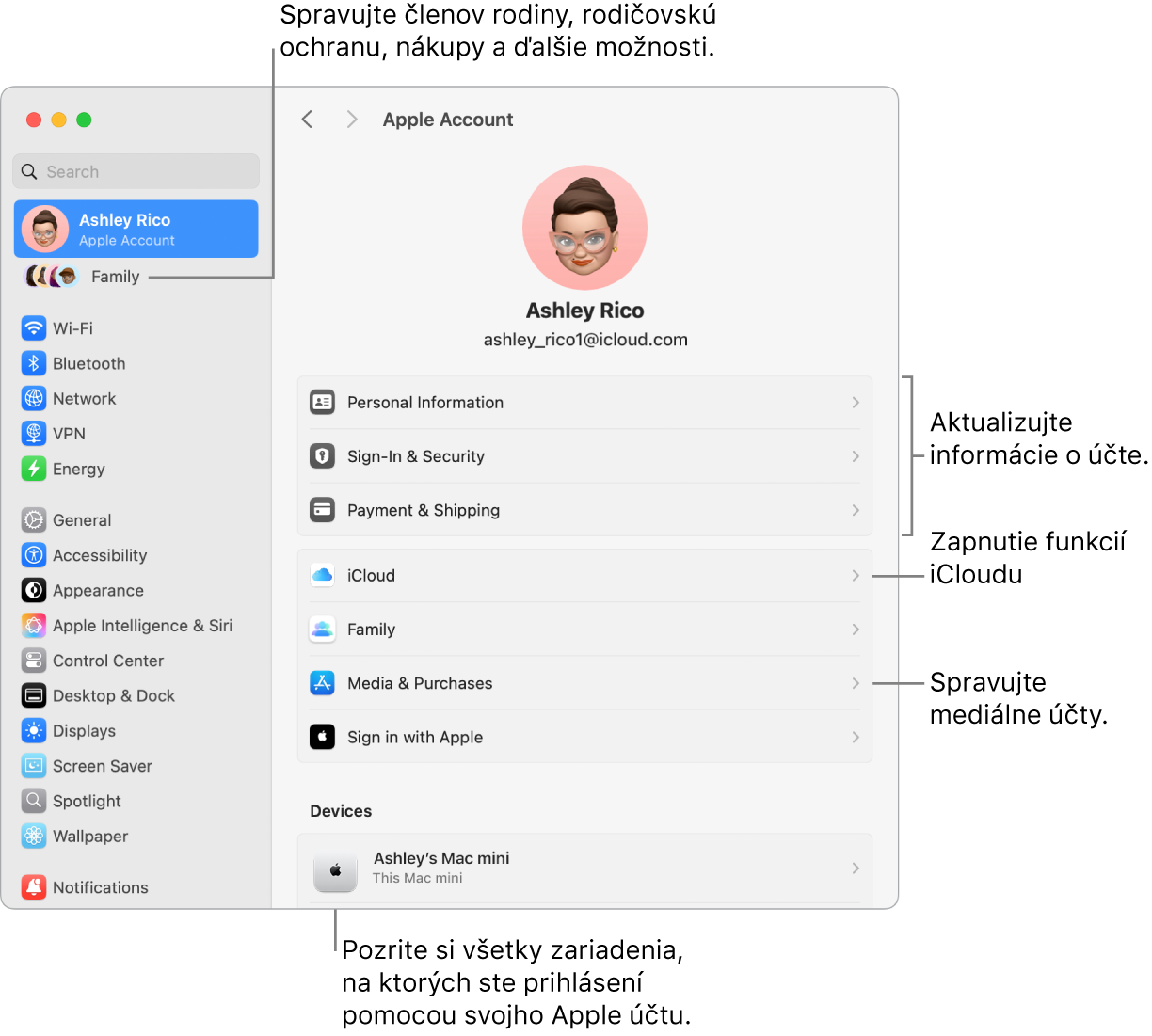 Nastavenia Apple účet v Systémových nastaveniach s popismi na aktualizáciu informácií o účte, zapnutie alebo vypnutie funkcií iCloudu, správu mediálnych účtov a položku Rodina, kde môžete spravovať členov rodiny, rodičovskú ochranu, nákupy a ďalšie možnosti.