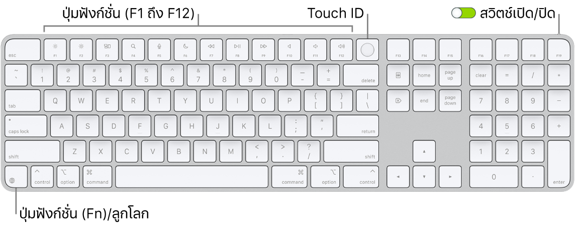 Magic Keyboard ที่มี Touch ID และปุ่มตัวเลขที่แสดงแถวของปุ่มฟังก์ชั่นและ Touch ID ตลอดแนวด้านบนสุด และปุ่มฟังก์ชั่น (Fn)/ลูกโลกที่ด้านขวาของปุ่ม Delete