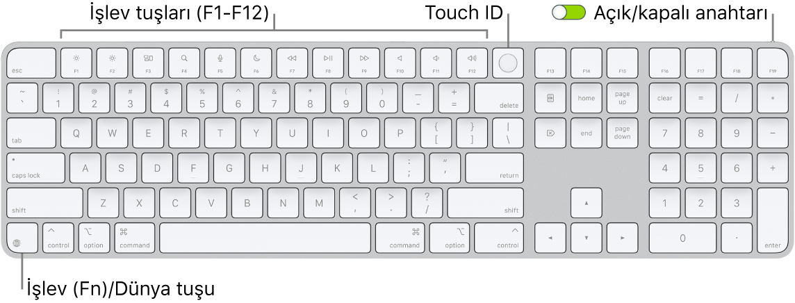 En üstte Touch ID ile işlev tuşları sırasını ve Sil tuşunun sağında İşlev (Fn)/Dünya tuşunu gösteren Touch ID ve Sayısal Tuş Takımı özellikli Magic Keyboard.
