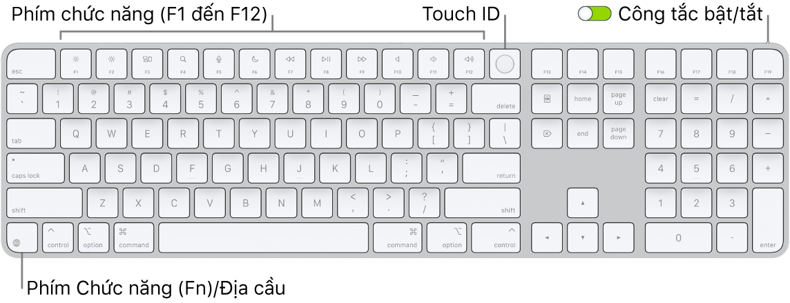 Magic Keyboard có Touch ID và Bàn phím số đang hiển thị hàng các phím chức năng, Touch ID ở trên cùng và phím Chức năng (Fn)/Địa cầu ở phía bên phải của phím Delete.