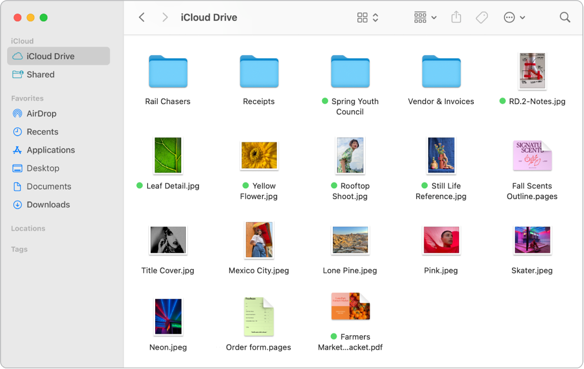 開啟的 Finder 視窗,以圖像顯示檔案和檔案夾。