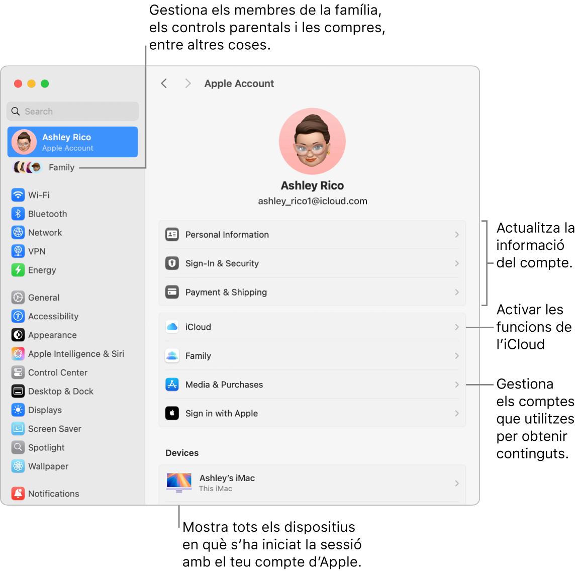 A la configuració del sistema, es veu la secció del compte d’Apple, amb opcions per actualitzar la informació del compte, activar o desactivar les funcions de l’iCloud o gestionar els comptes de contingut multimèdia, i la secció “En família”, amb opcions per configurar un grup familiar, establir controls parentals i administrar les compres, entre altres coses.