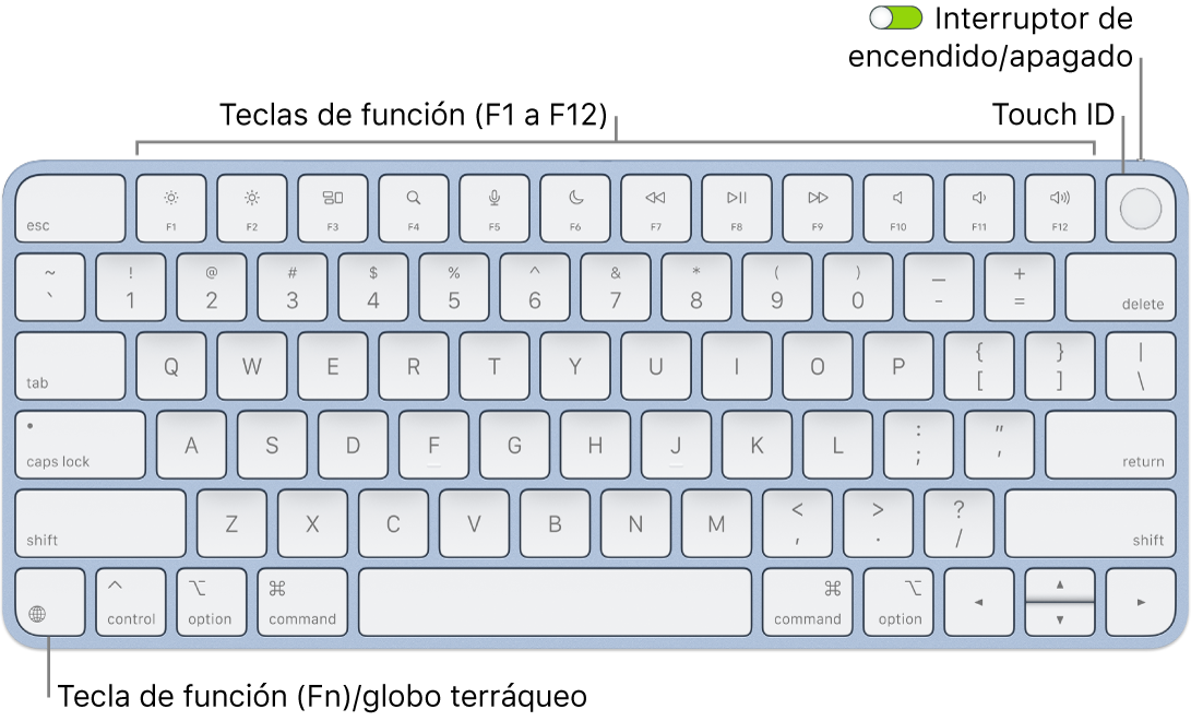 El Magic Keyboard con Touch ID mostrando la fila de teclas de función con el sensor Touch ID en la parte superior y la tecla de función (Fn)/globo terráqueo en la esquina inferior izquierda.
